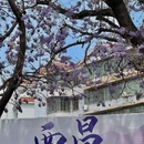 凉山旅游 缩略图 9