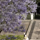 凉山旅游 缩略图 15