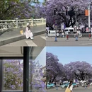 凉山旅游 缩略图 1