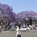 凉山旅游 缩略图 1