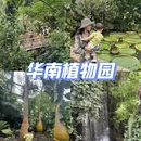 广州旅游 缩略图 1