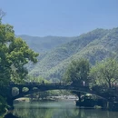 杭州旅游 缩略图 14