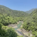 杭州旅游 缩略图 6