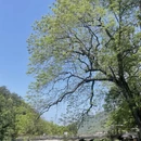 杭州旅游 缩略图 2