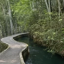 杭州旅游 缩略图 3