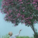 南宁旅游 缩略图 2