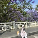 凉山旅游 缩略图 14