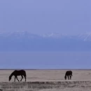酒泉旅游 缩略图 8