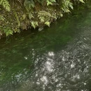 杭州旅游 缩略图 4