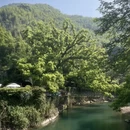 杭州旅游 缩略图 9