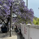 凉山旅游 缩略图 8