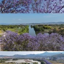 昆明旅游 缩略图 3