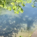 杭州旅游 缩略图 5