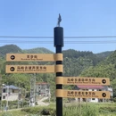 杭州旅游 缩略图 10