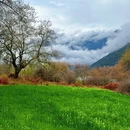林芝旅游 缩略图 13