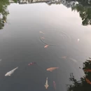 杭州旅游 缩略图 16