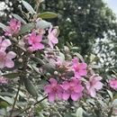 广州旅游 缩略图 8