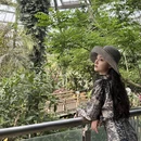 广州旅游 缩略图 13