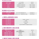 上海旅游 缩略图 4