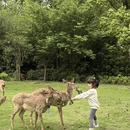 成都旅游 缩略图 2