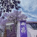 凉山旅游 缩略图 12