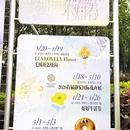 上海旅游 缩略图 10