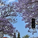 凉山旅游 缩略图 7