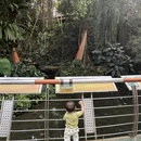 广州旅游 缩略图 11