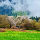 林芝旅游 缩略图 16