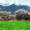 林芝旅游 缩略图 14