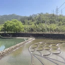 杭州旅游 缩略图 17