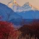 林芝旅游 缩略图 5