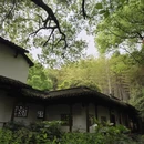 杭州旅游 缩略图 4