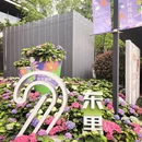 上海旅游 缩略图 4