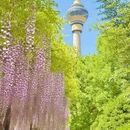 北京旅游 缩略图 13