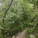 南京旅游 缩略图 11
