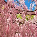 北京旅游 缩略图 17
