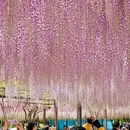 北京旅游 缩略图 15