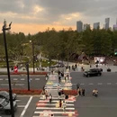 上海旅游 缩略图 13