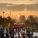 上海旅游 缩略图 14