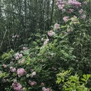 武汉旅游 缩略图 6