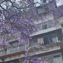 昆明旅游 缩略图 2