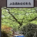 上海旅游 缩略图 16