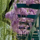 北京旅游 缩略图 8
