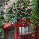 南京旅游 缩略图 9