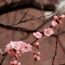 长春旅游 缩略图 12