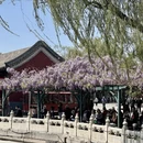 北京旅游 缩略图 4