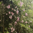 武汉旅游 缩略图 3