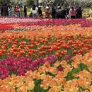北京旅游 缩略图 4