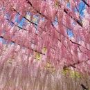 北京旅游 缩略图 1